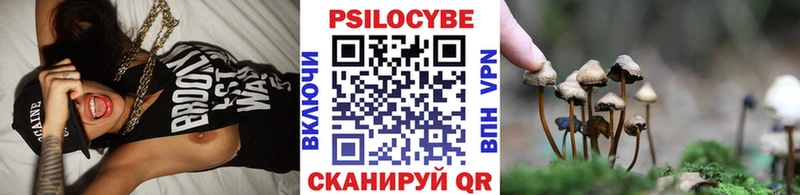 Псилоцибиновые грибы Psilocybine cubensis  Купить  Кашира 
